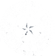 Seal of the Notary Public for the State of Texas, featuring a central star and circular text, symbolizing official notarization services.